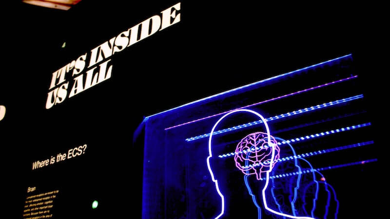 neon image of a psychology presentation